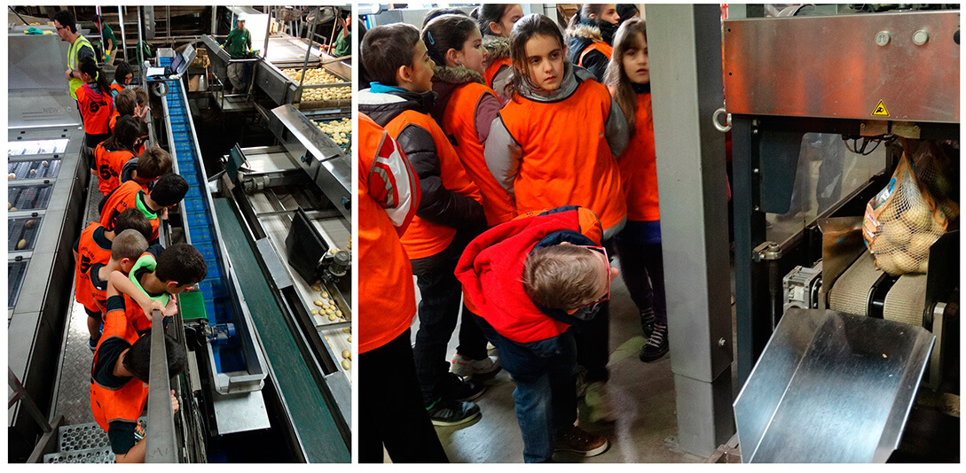 Visita al magatzem de patates