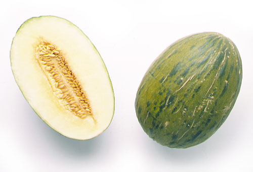 Melón