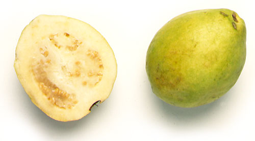 Guayaba