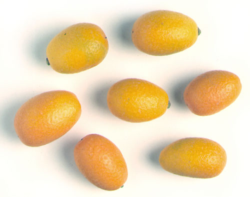 Kumquat