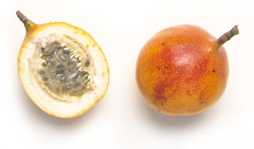 Granadilla