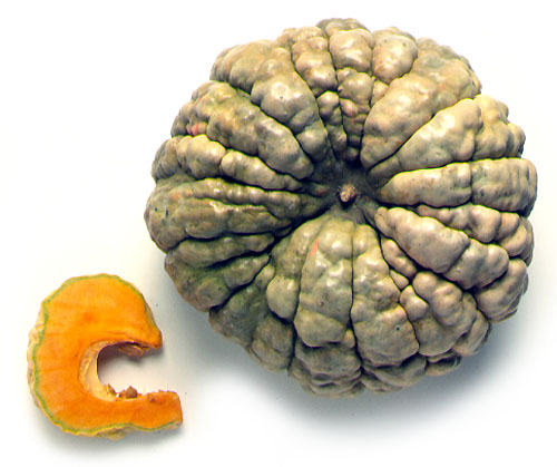 Calabaza