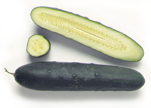 Pepino