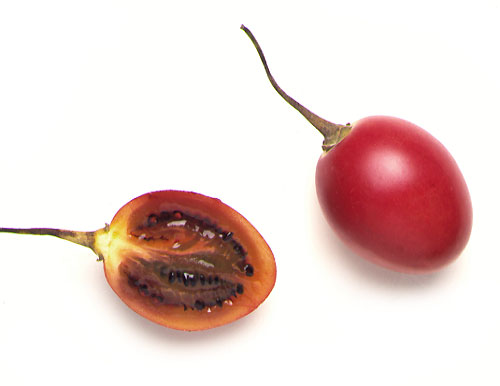 Tamarillo